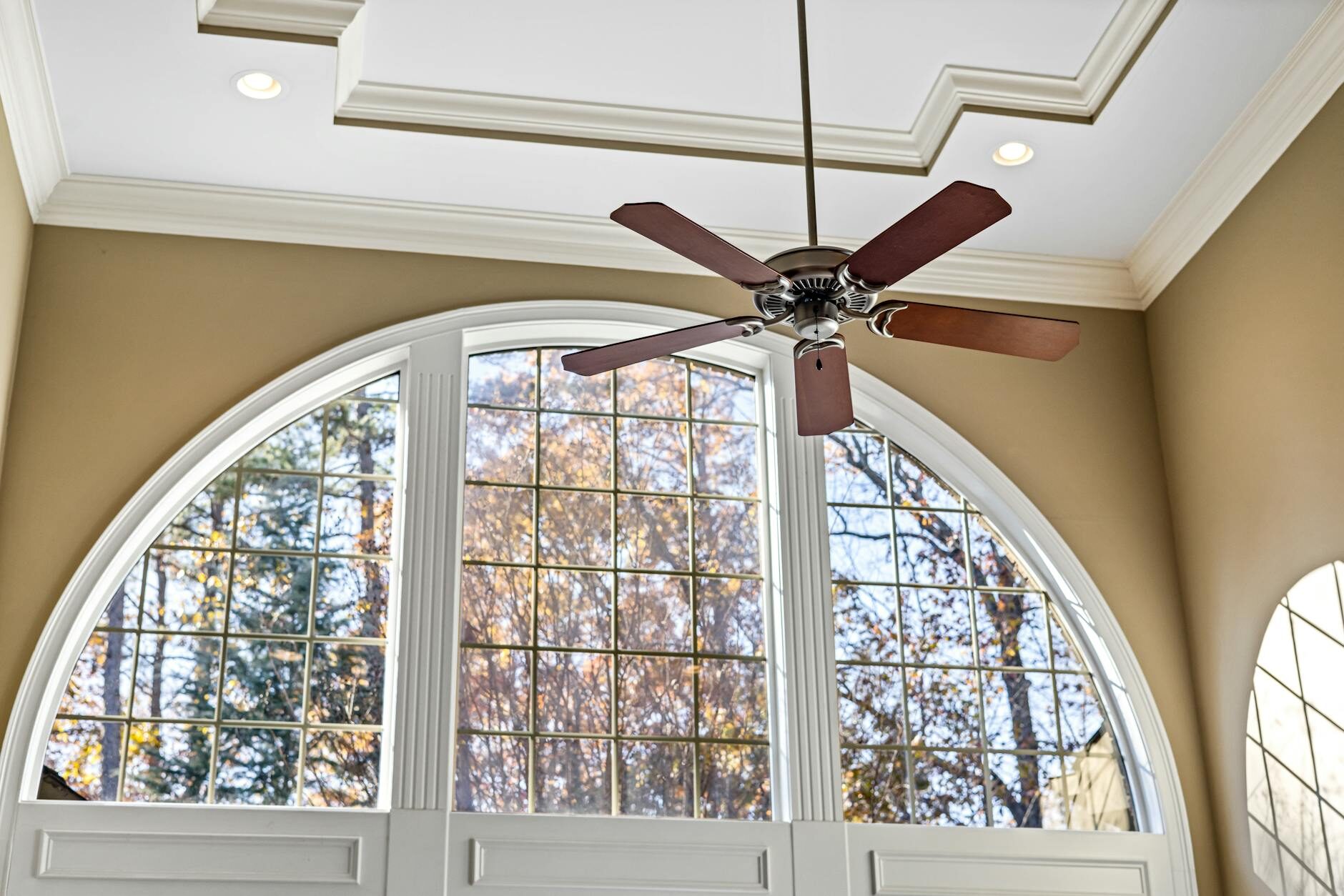 Brown ceiling fan in a Southern-style room with tray ceiling and arched window